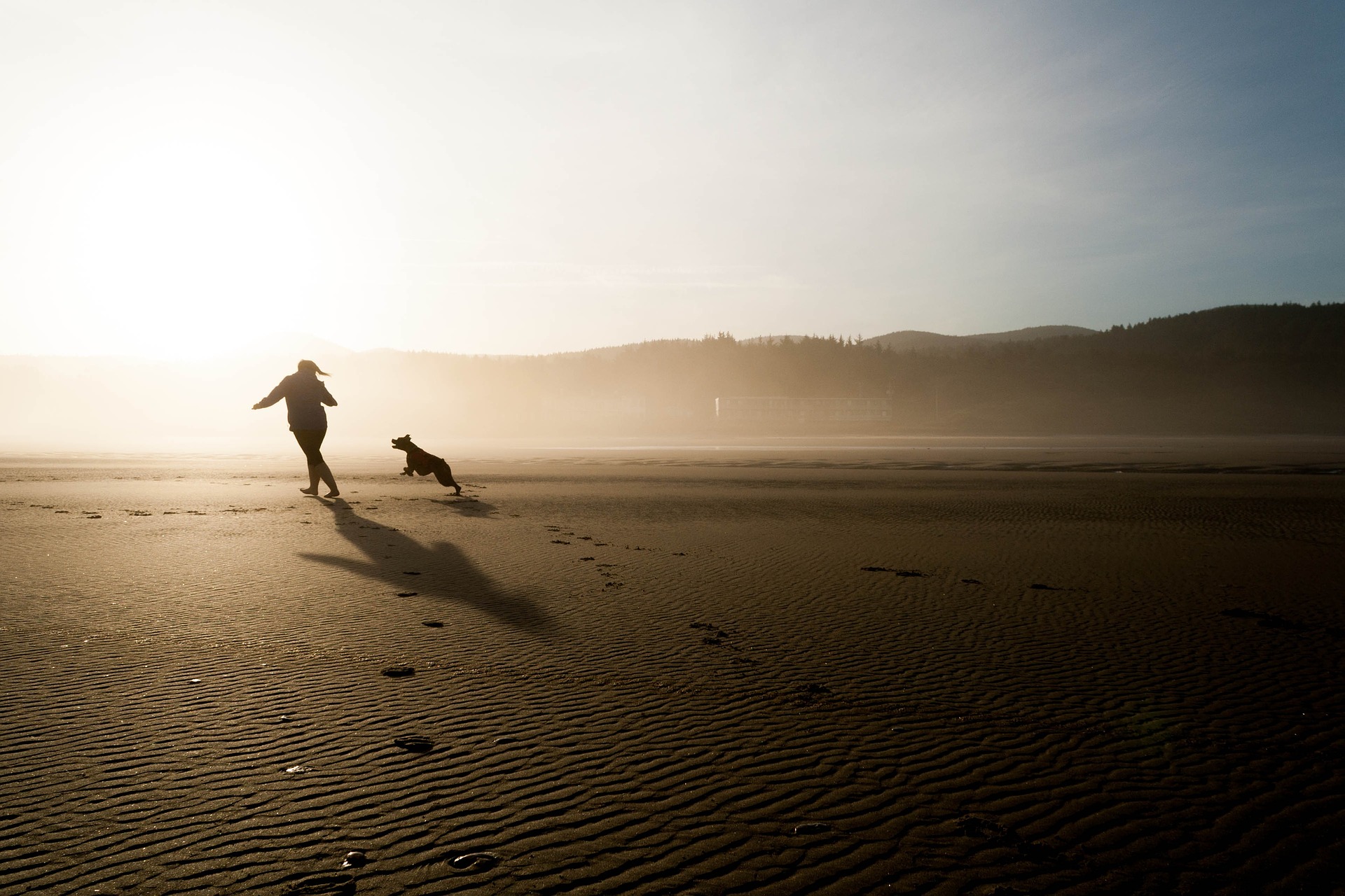 Feriendomizile mit Hund in St. Peter-Ording - Ferienwohnungen und Ferienhäuser für die Herbstferien mit Hund